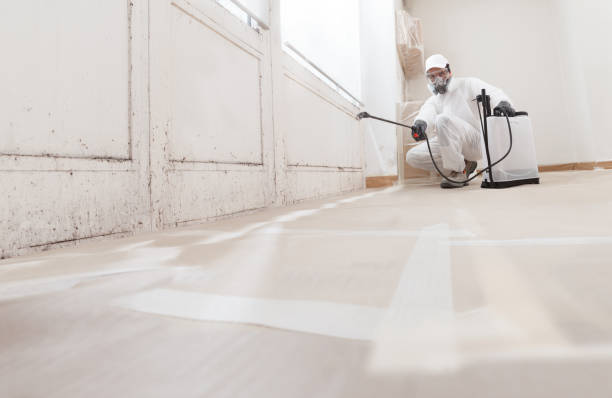 24/7 Emergency Mold Cleanup experts in Cambridge, MA
