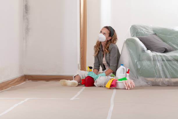 Reliable Mold Cleanup contractor in Cambridge, MA by WQB Mold Removal